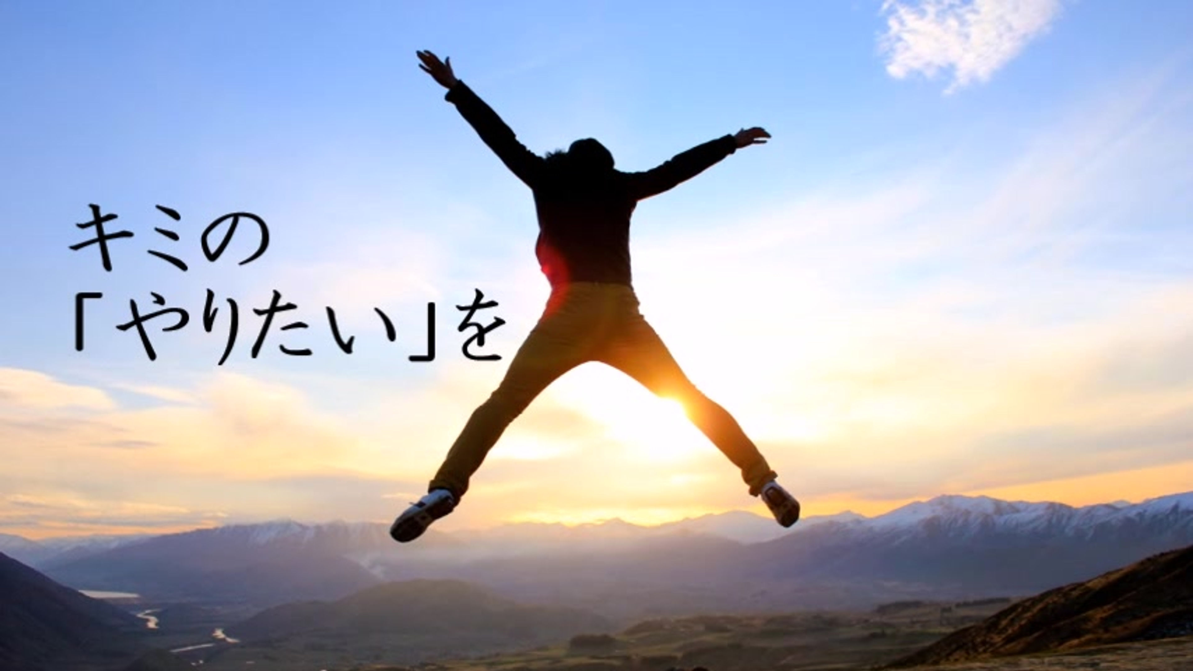 すべての動画